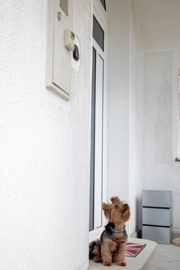 Apartment Vita Rijeka Zewnętrze zdjęcie